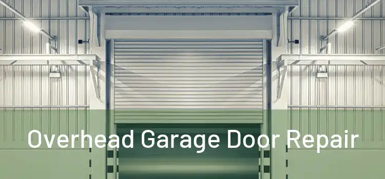  Overhead Garage Door Repair 
